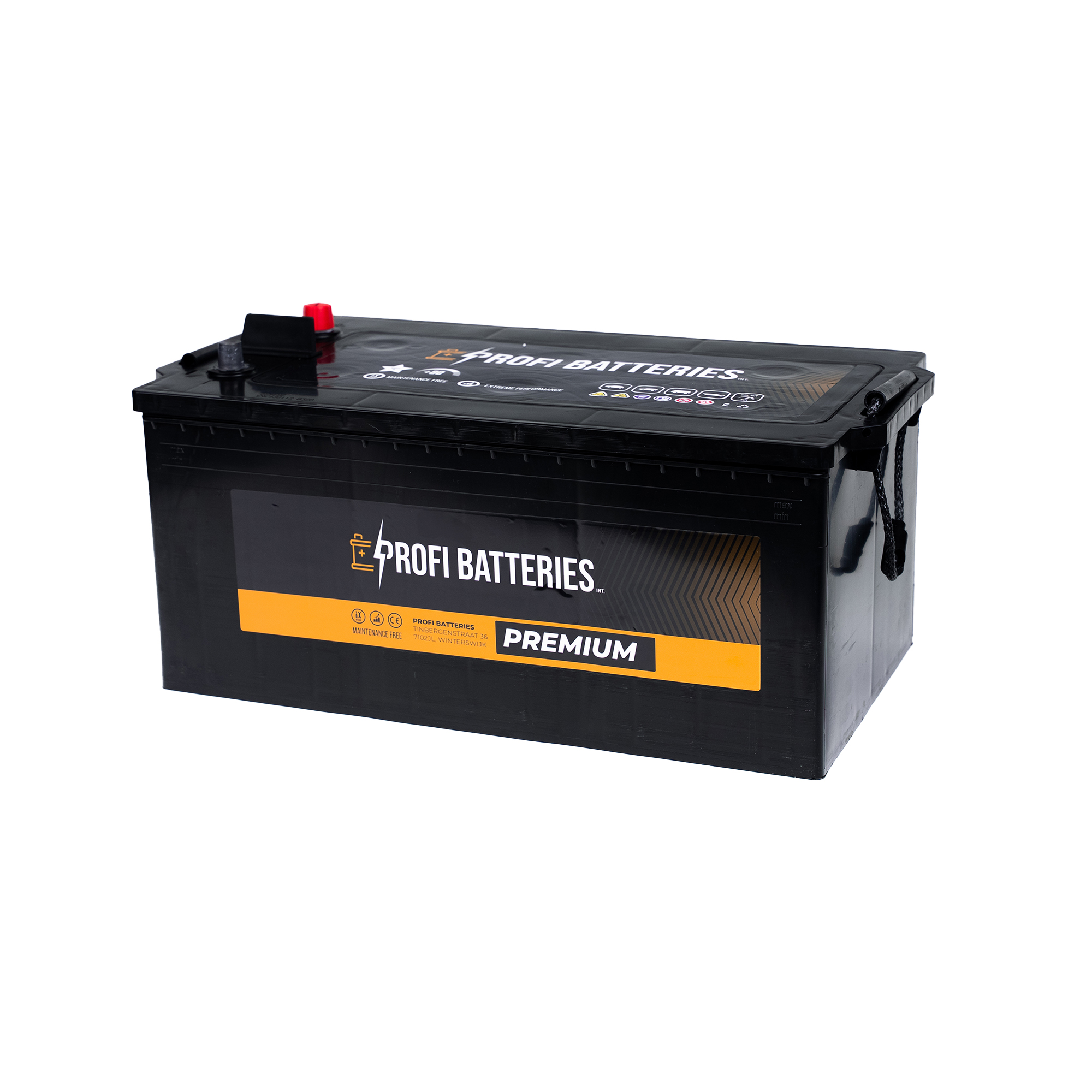 Profi Batteries Semi Traction SMF 12V 230Ah
